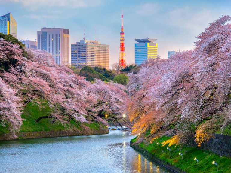 the-best-time-to-visit-tokyo-in-2023-travellers