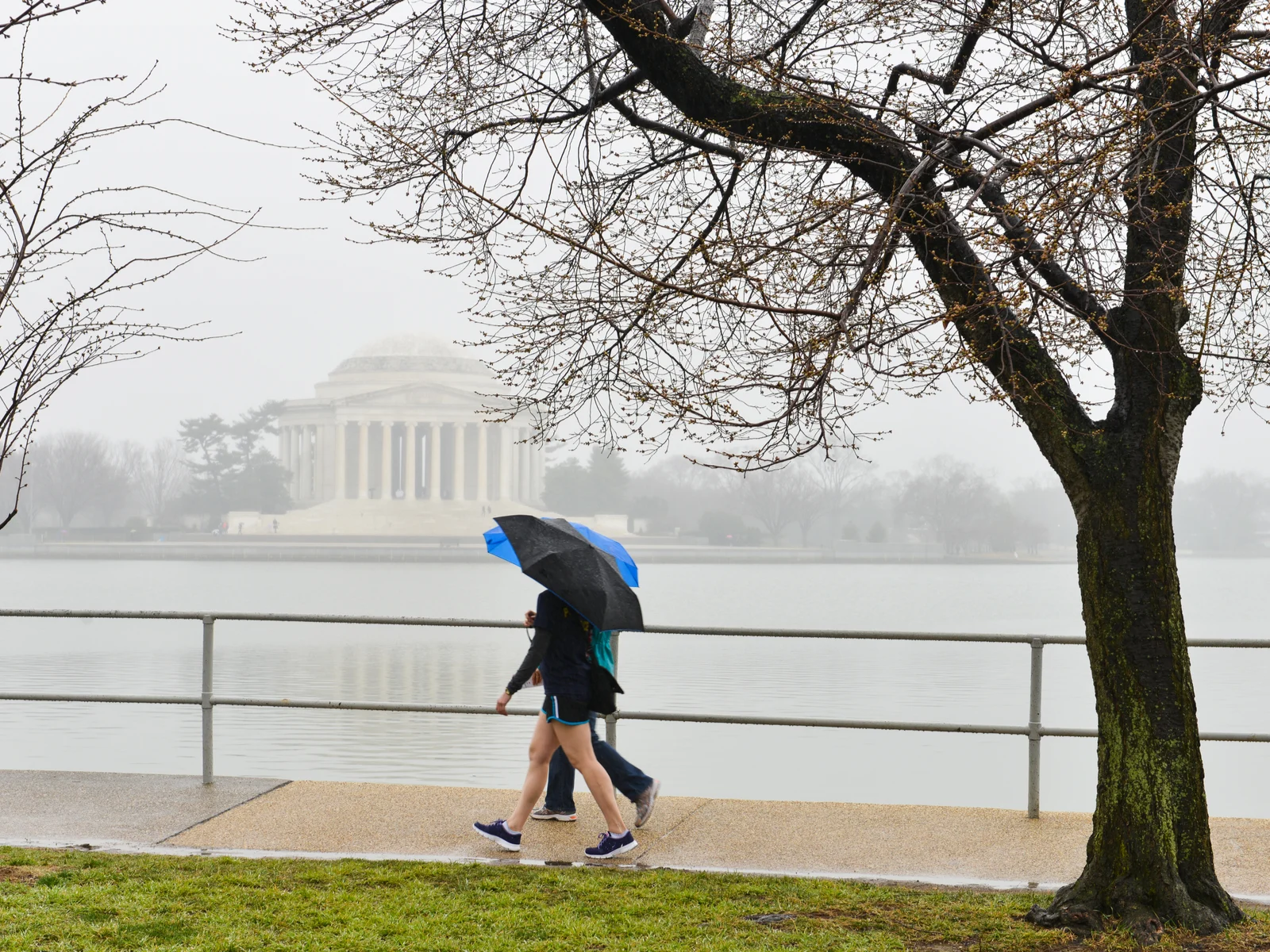 Washington DC pictured during the worst time to visit with the Jefferson Memorial on a rainy day