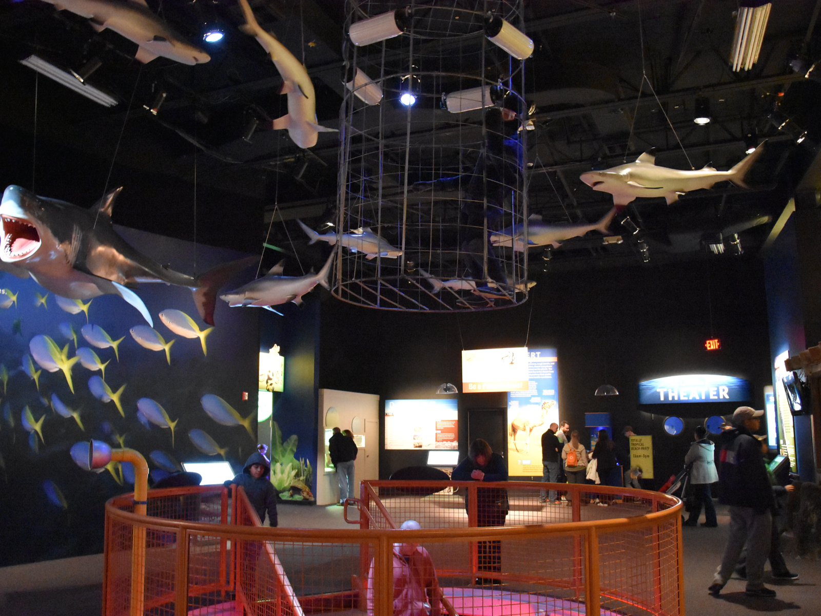 Interior of the Mystic Aquarium in Connecticut, titled one of the best aquariums in the US, with a few visitors peeking at the small aquarium viewing area and multiple shark figures hanging by the ceiling