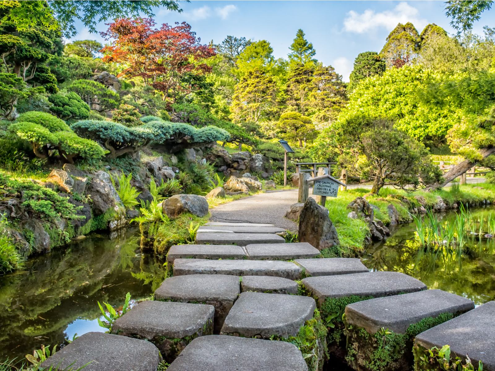 Fern and Moss-infested slabs of stone are used as a footpath to cross a pond in the Japanese Garden at Golden Gate Park, a piece on the best things to do in California