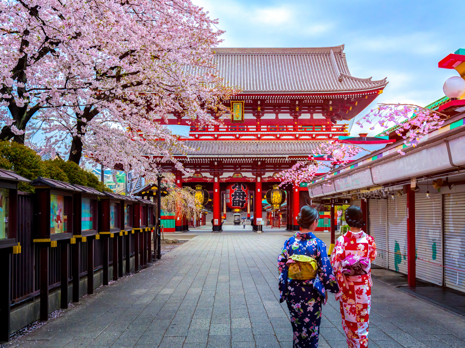 Two thin Japanese women walking under blooming cherry trees in front of a palace during the best time to go to Japan