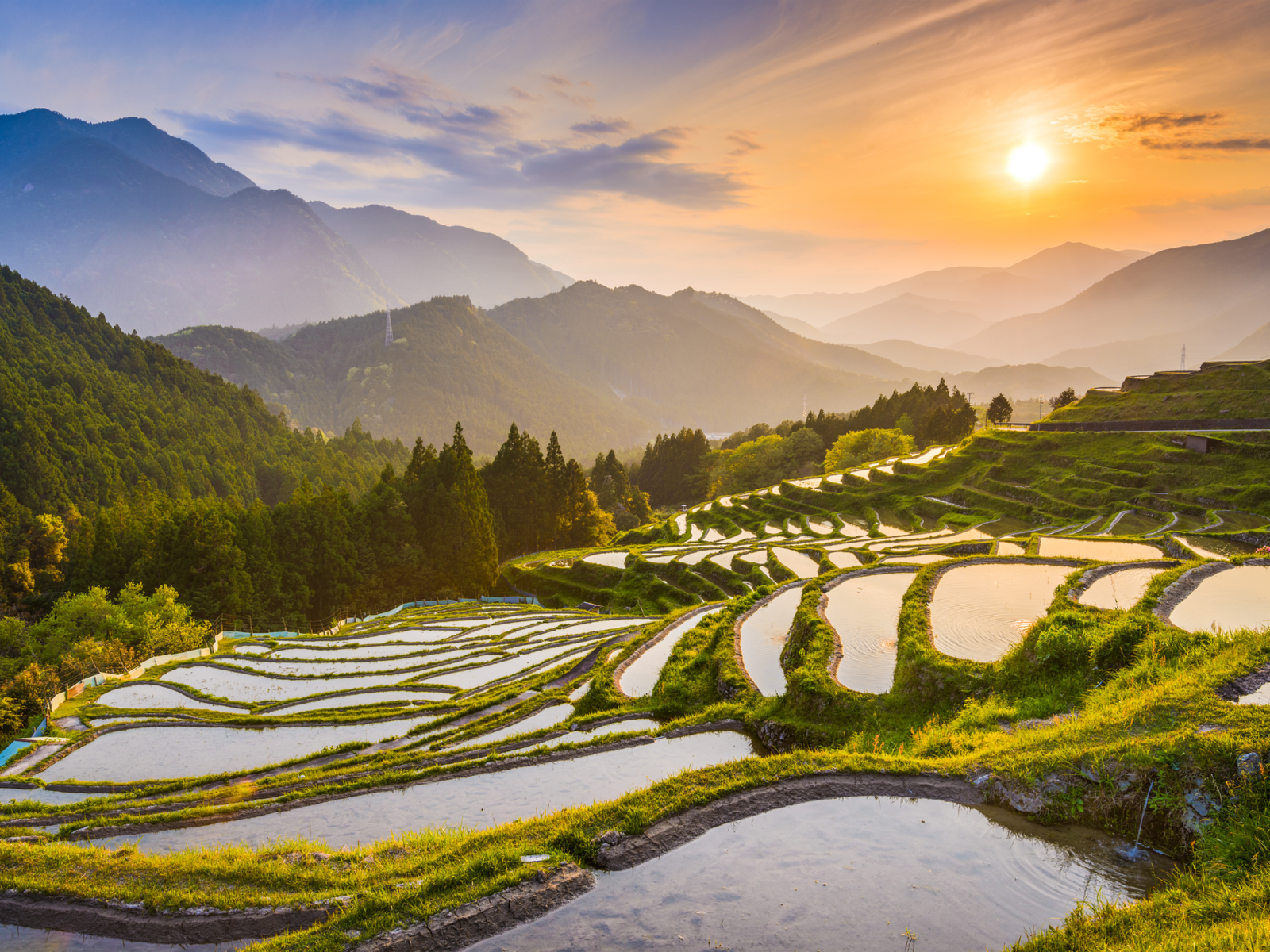 Rice paddy terrace pictured with a sunrise in the distance during the best time to visit Japan