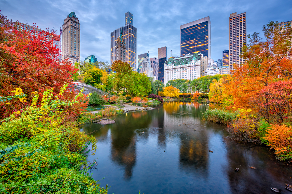 For a guide titled the Best Time to Visit New York City, a photo of Central Park and its amazing pond in autumn