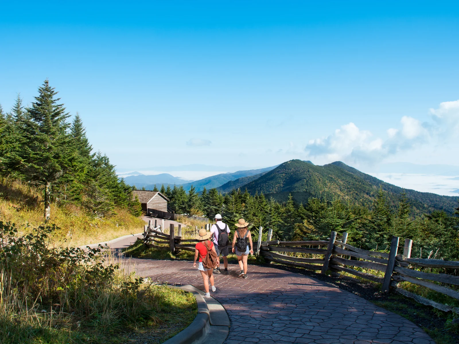 A family, wearing hats, hiking down a foot path in Mount Mitchell, one of the best things to do in Asheville, NC and the perfect trail trekking for enthusiasts 