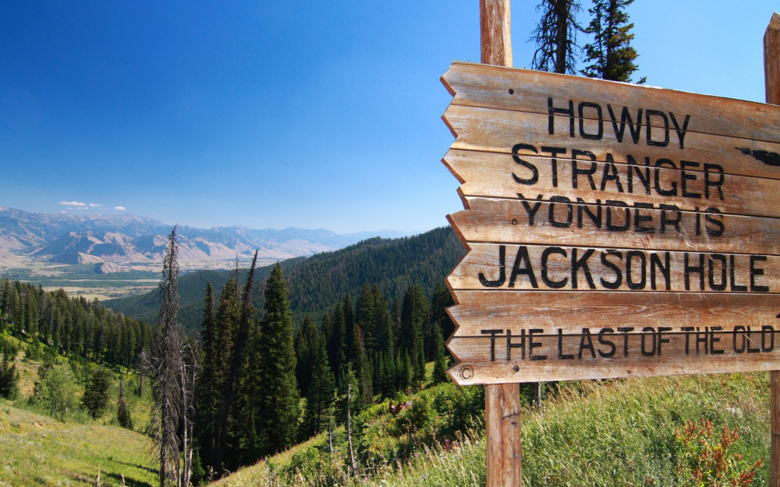 Where to Stay in Jackson Hole | Best Areas & Hotels