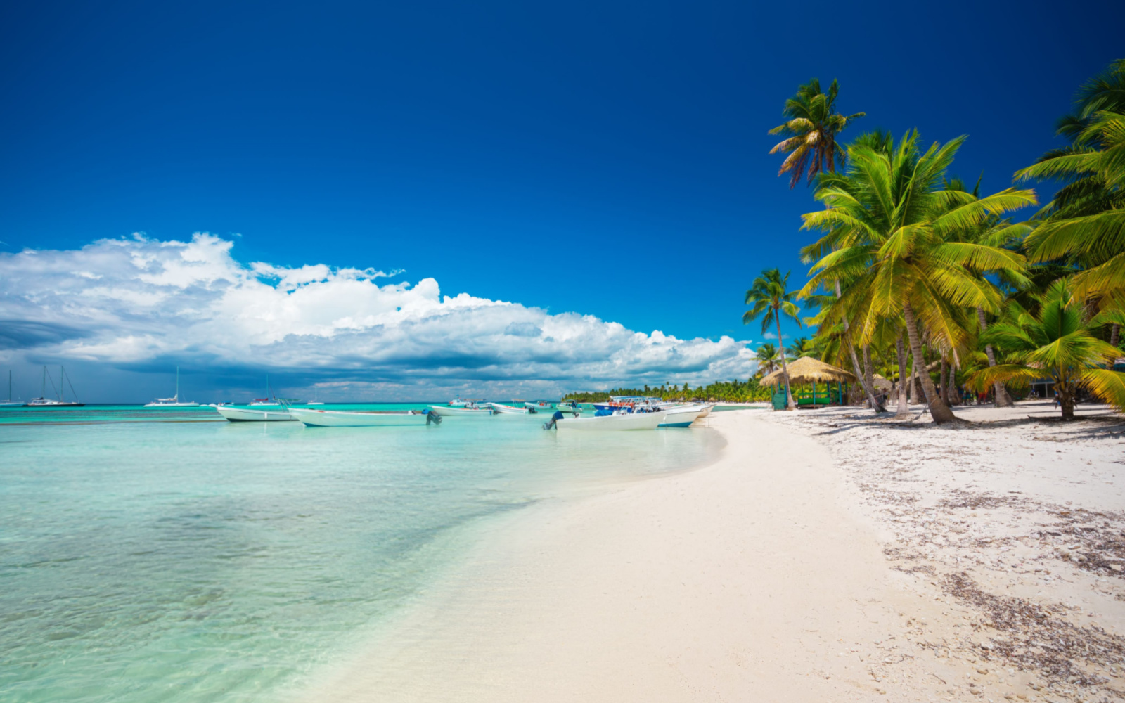 Is the Dominican Republic Safe to Visit in 2023?