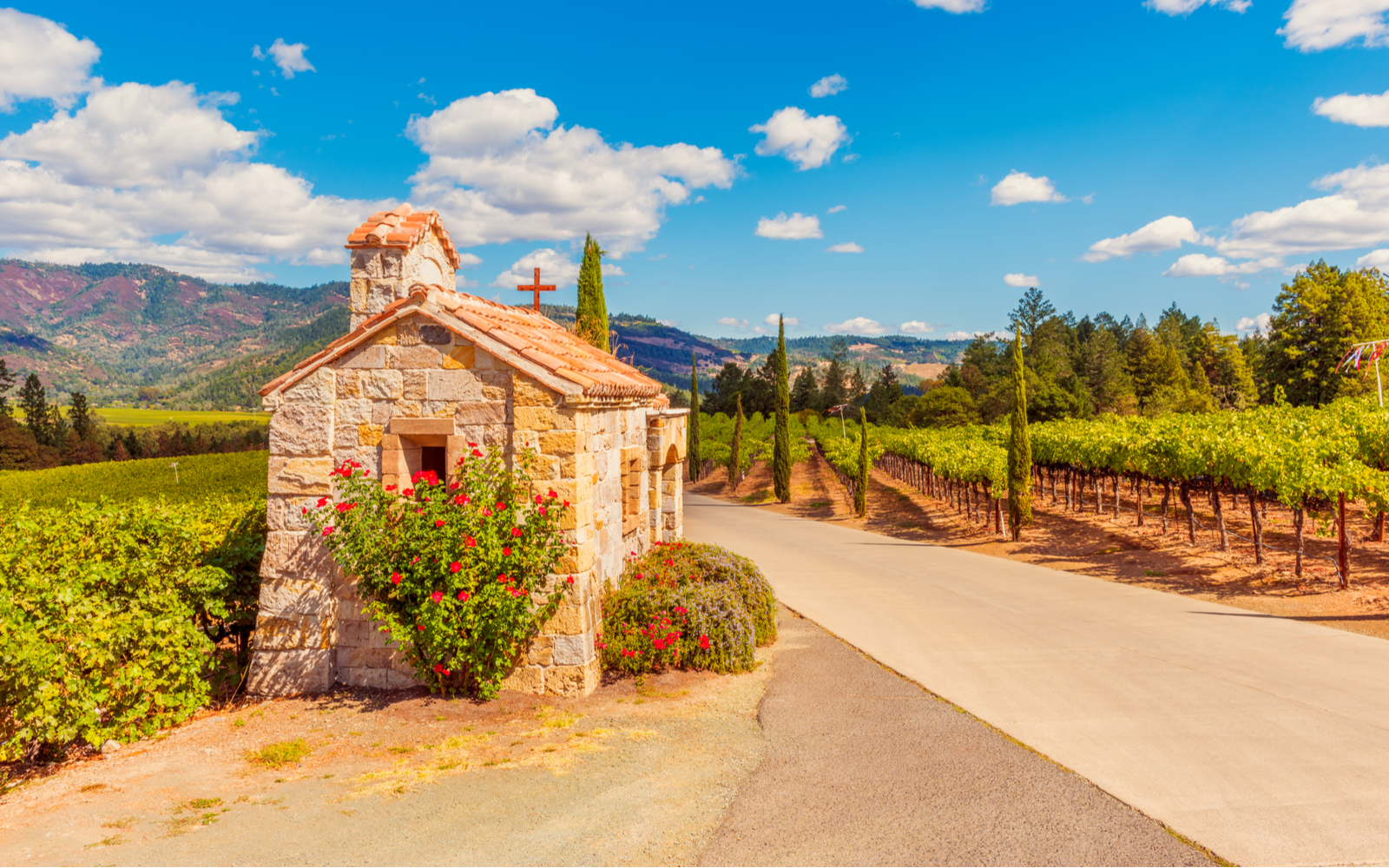 The Best Time to Visit Napa in 2022