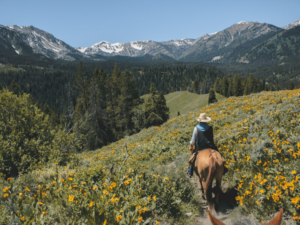 Woman horseback riding through a field of wild yellow flowers for a piece on the cheapest time to visit Grand Teton National Park