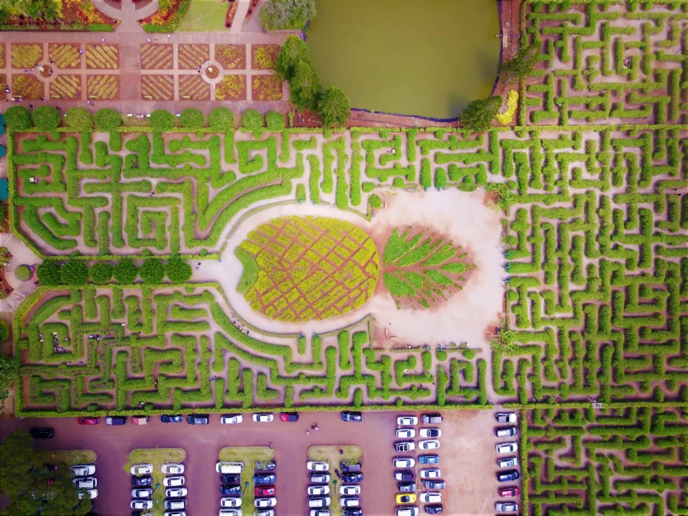 Overhead view of the vast Pineapple Garden Maze, exploring this labyrinth is one of the best things to do in Oahu, with cars parked outside the garden and people wandering in the maze
