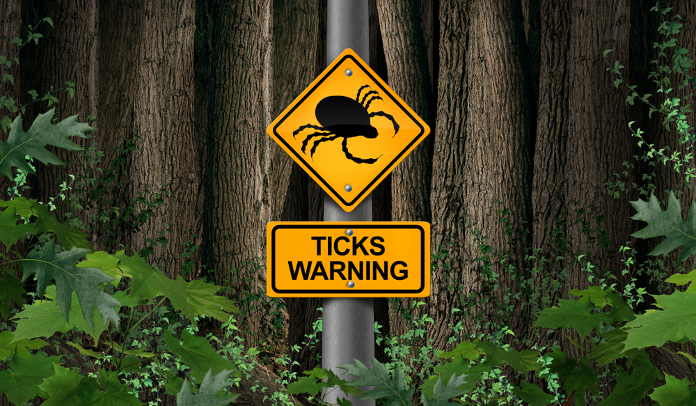 Tick warning sign in Minneapolis to answer is the city safe to visit