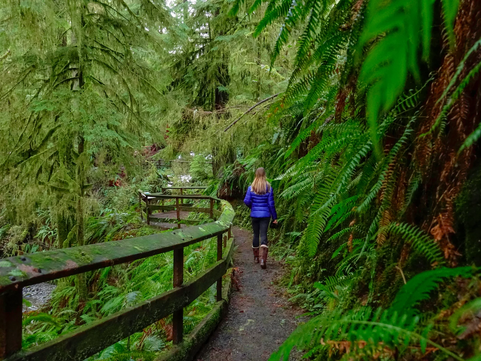 Woman in a blue puffer jacket and hiking pants and boots walking along a muddy path during the cheapest time to visit Olympic National Park