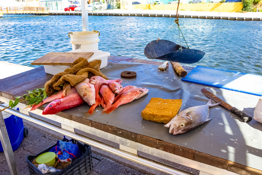Curacao Fish Market pictured on the side of the ocean on a dock