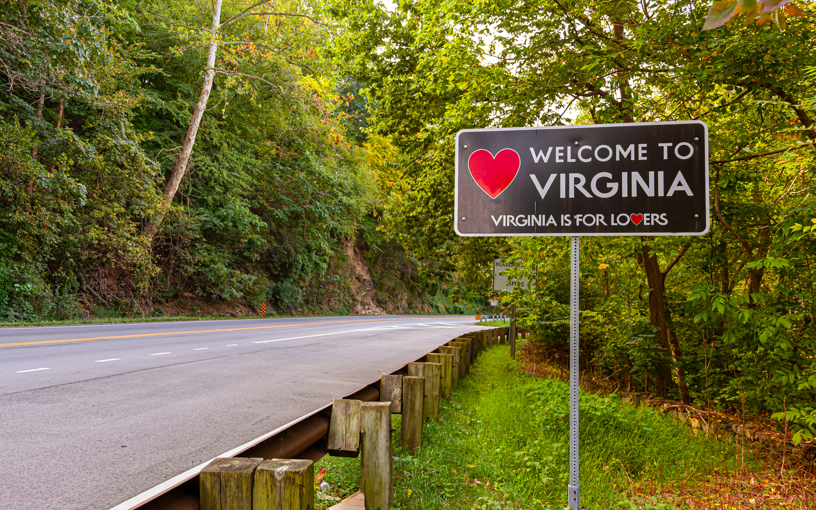 The 15 Best Airbnbs in Virginia in 2022