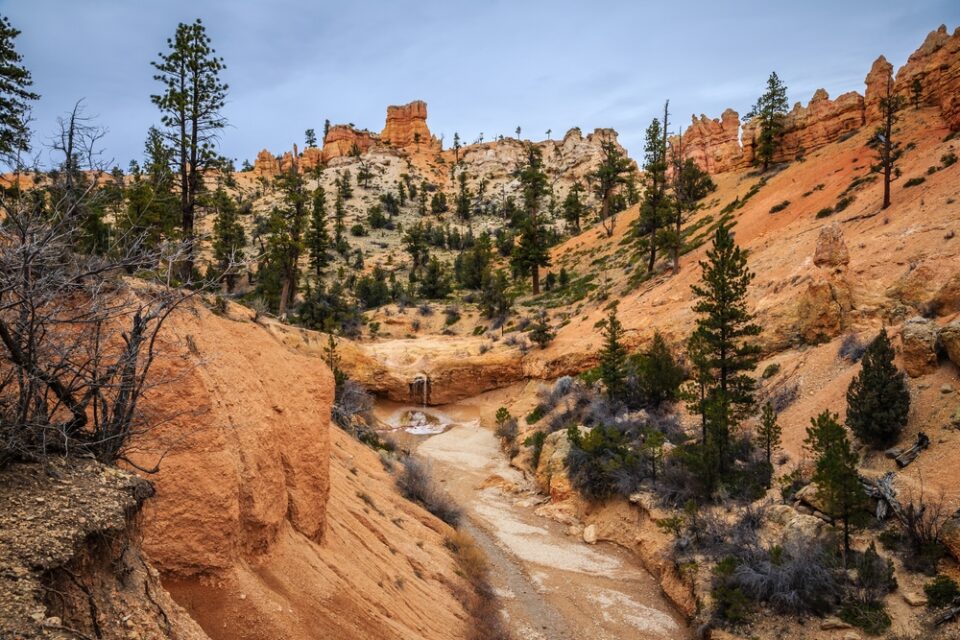 The Best Time to Visit Utah National Parks in 2023 Travellers