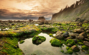 Gorgeous sunrise over the rocks and moss taken during the best time to visit Olympic National Park