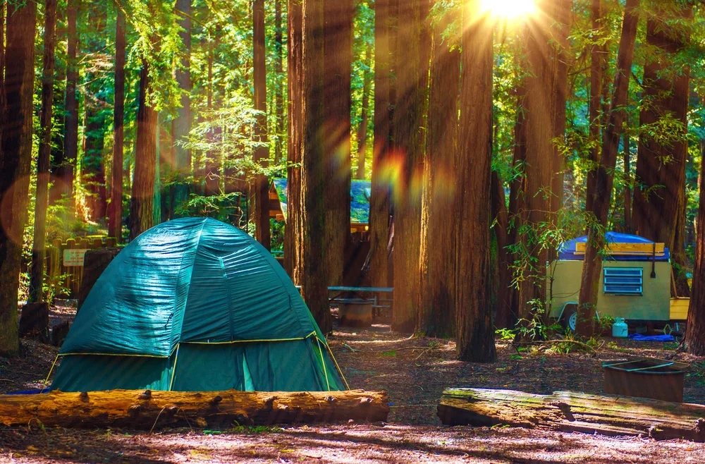 People camping in the forest during the best time to visit Sequoia National Park