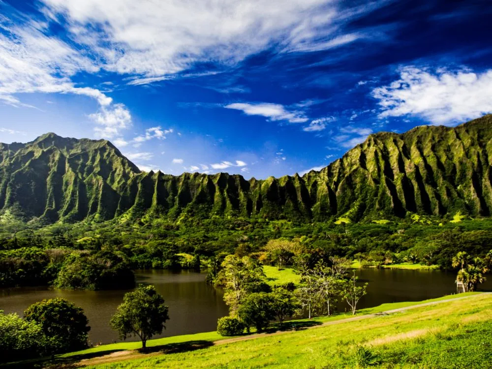 The vast ground at Ho’omaluhia Botanical Garden, one of the best things to do in Oahu, with green pasture and trees all over the place facing a tall mountain