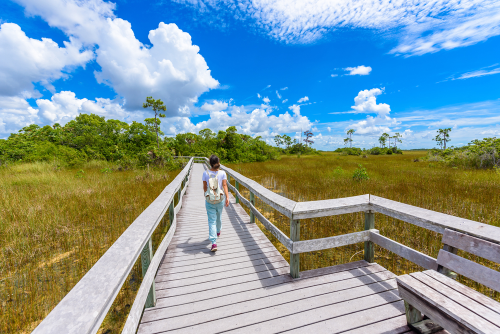Woman walking on a boardwalk in Everglades National Park for a piece on is Miami safe to visit
