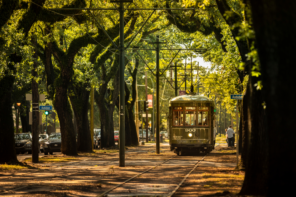 An old tram passing by a street with huge tree on both sides in the Garden District, one of our picks on the things to do do in the New Orleans.