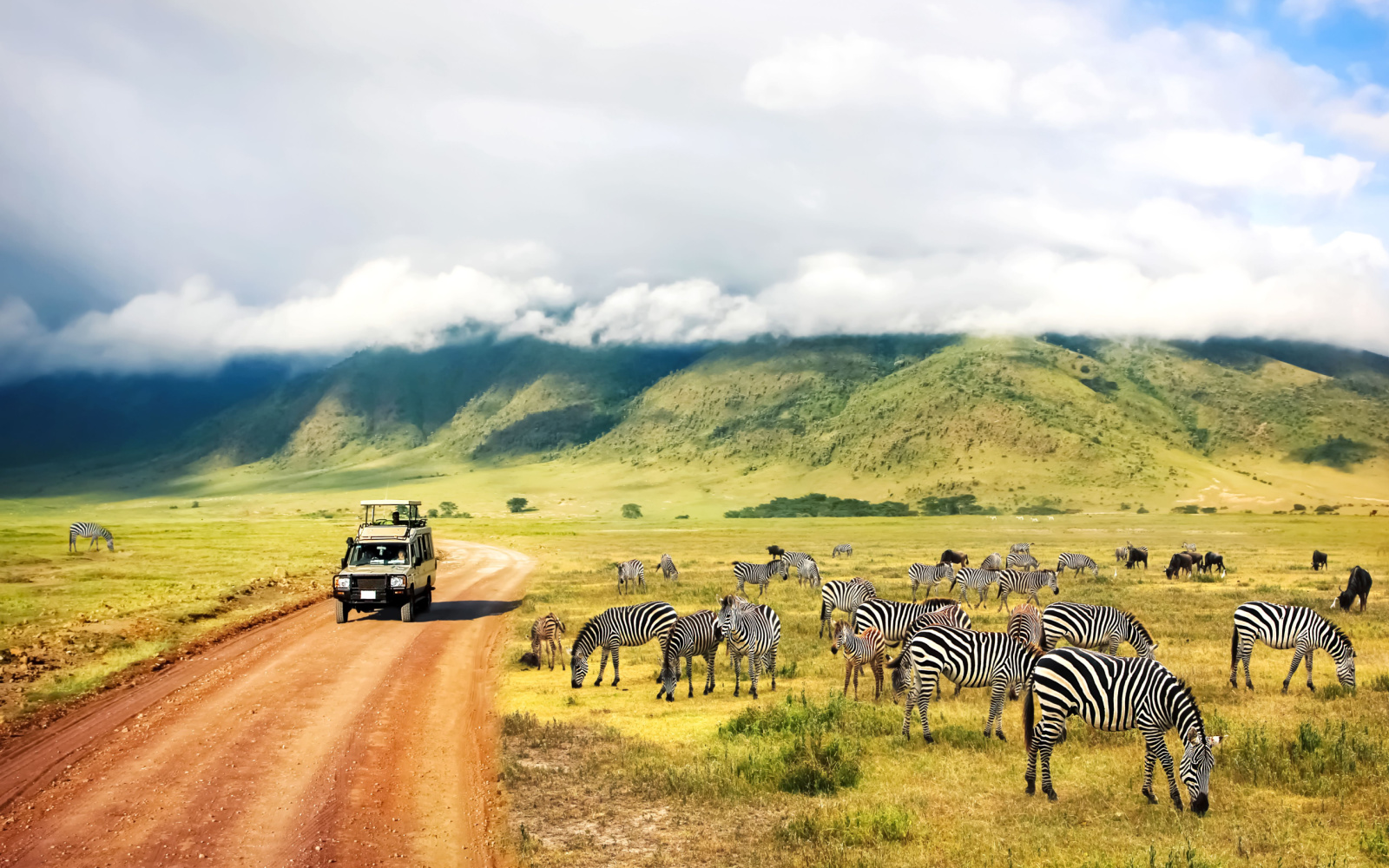 The Best Time to Visit Tanzania in 2023