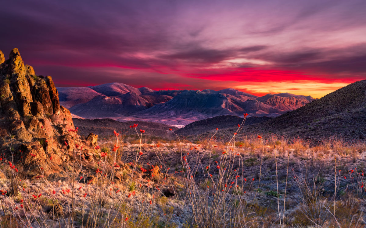 📅 The Absolute Best Time to Visit Big Bend National Park in 2025
