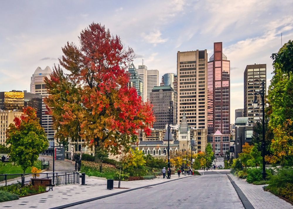 Gorgeous autumn trees pictured in the downtown area, one of the best places to stay when visiting Montreal