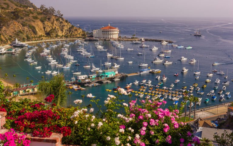 The Best Time To Visit Catalina Island In 2024 Our Take   Shutterstock 1081915058 768x480 