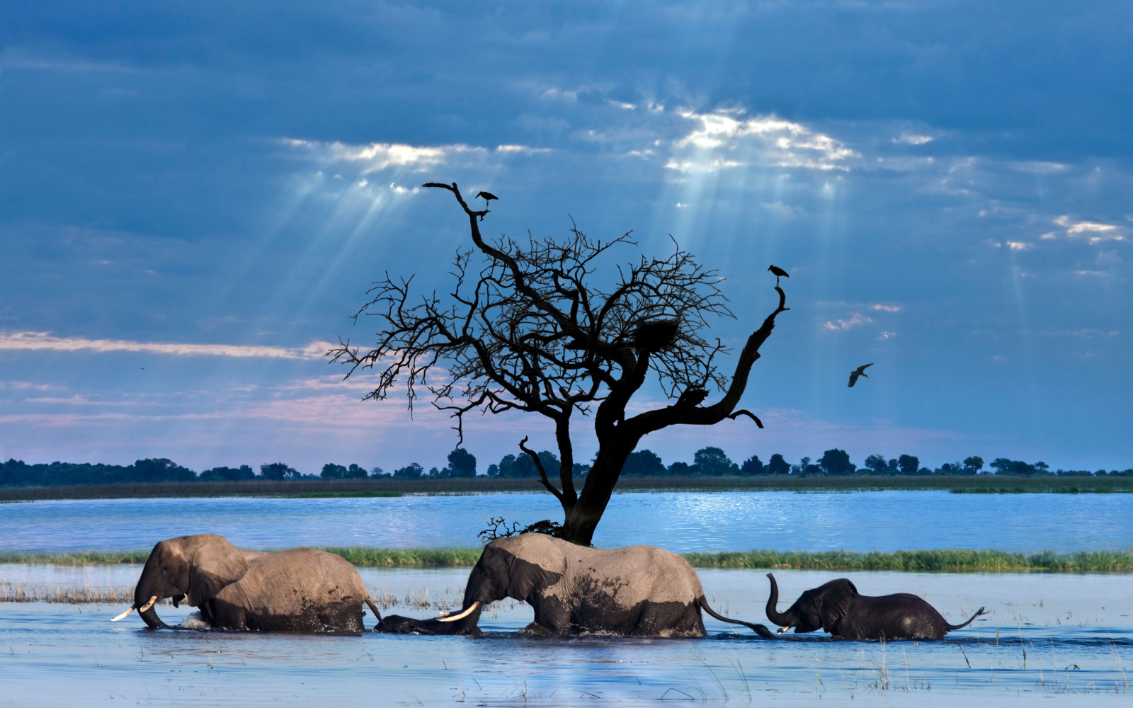 The Best Time to Visit Botswana in 2023