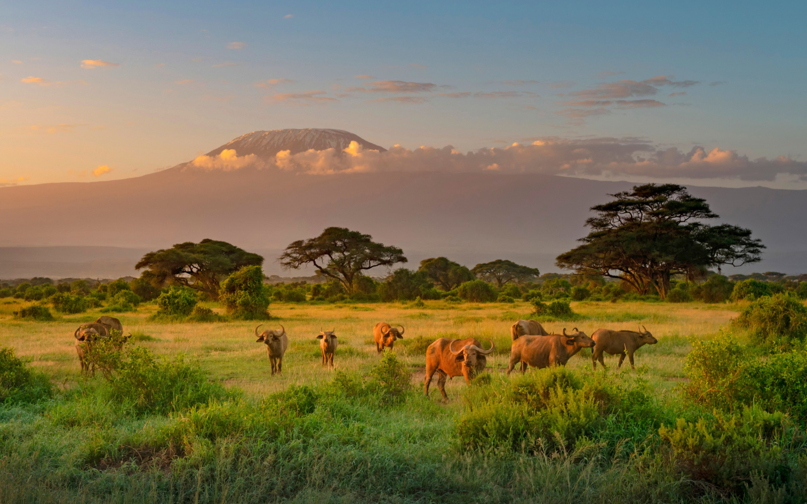 The Best & Worst Times to Visit Kenya in 2023