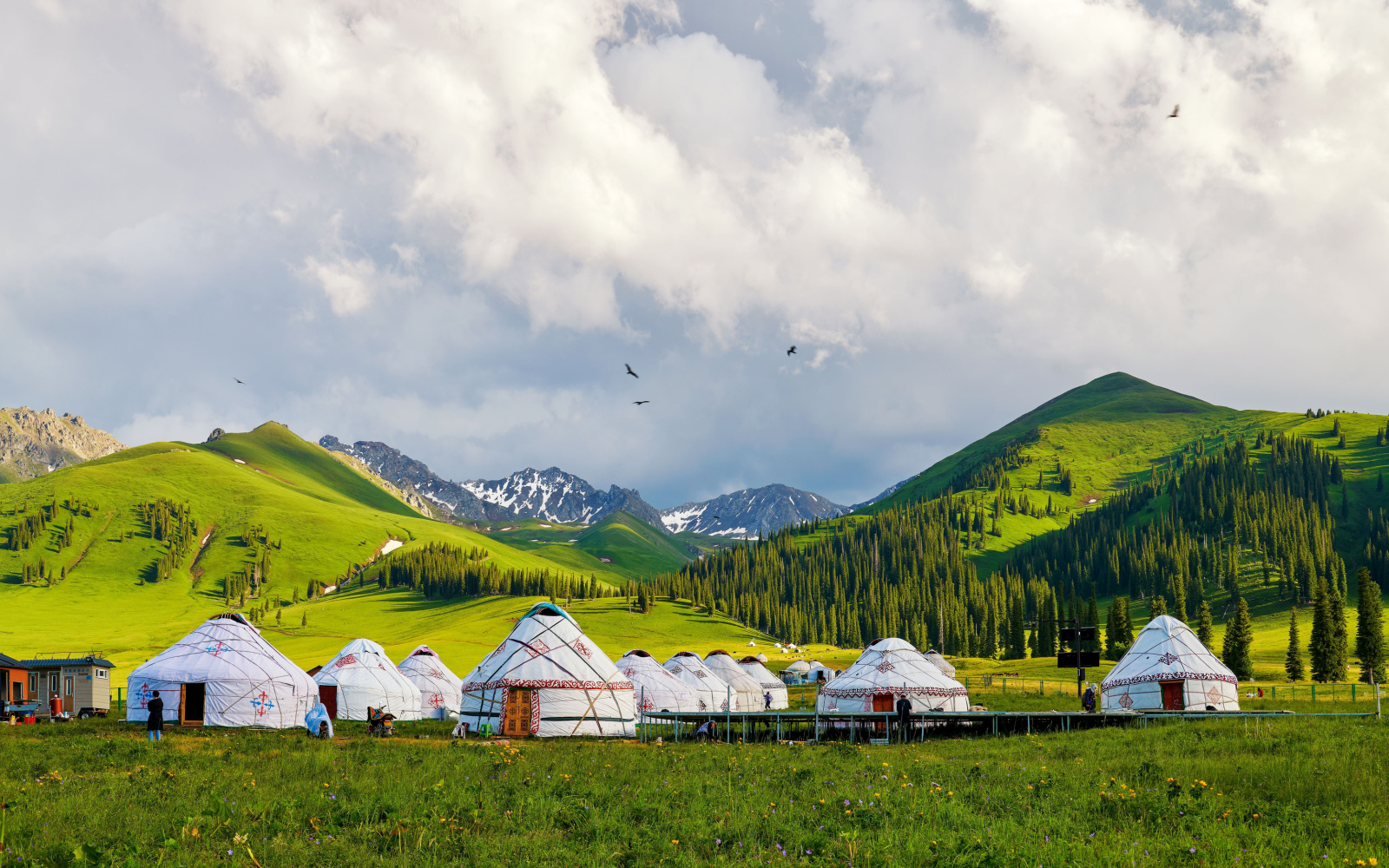Is Mongolia Safe to Visit in 2023? | Safety Concerns