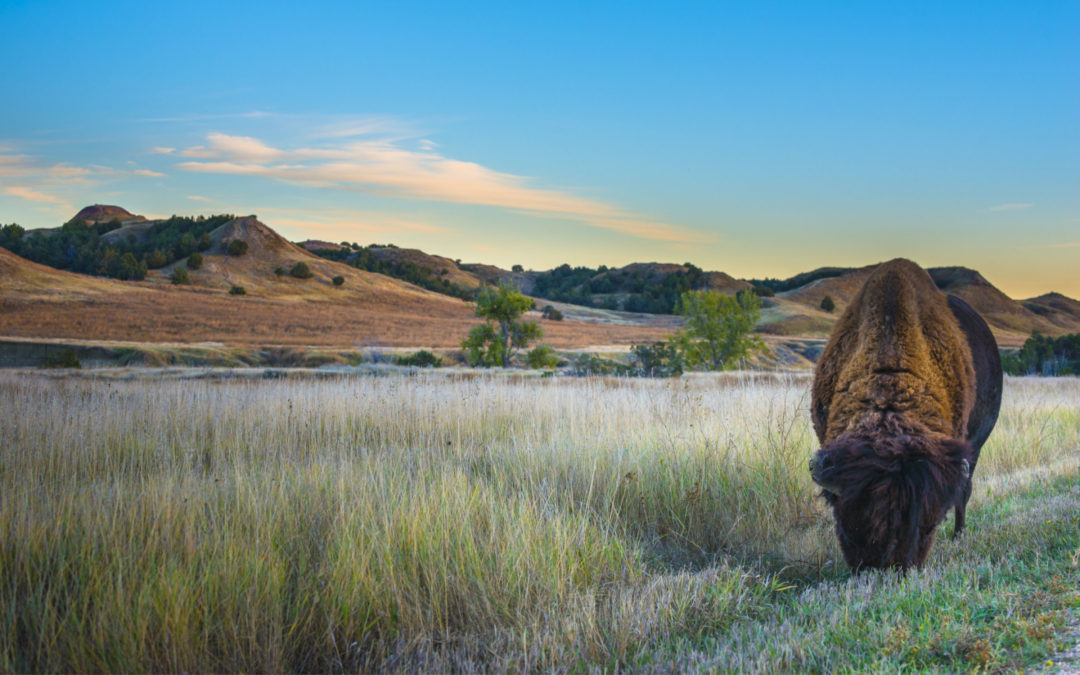 The Best Time To Visit South Dakota In 2024 Expert Opinion   Shutterstock 227973958 1080x675 