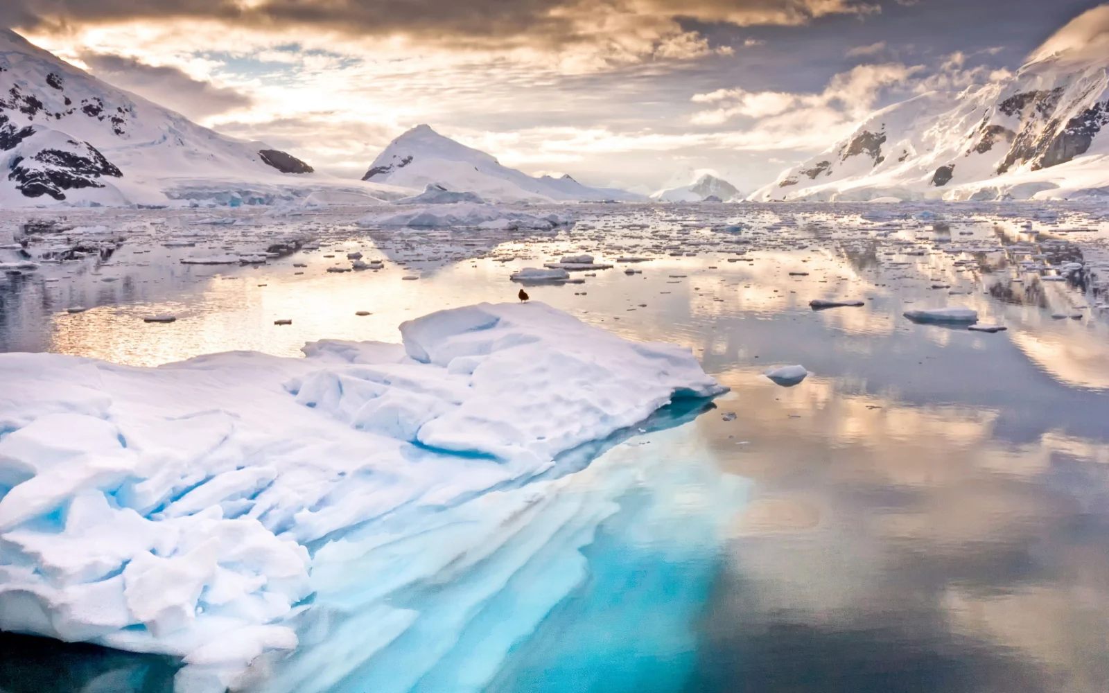 The Best Time to Visit Antarctica in 2023