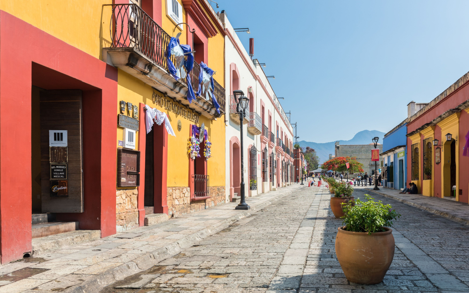 The Best Time to Visit Oaxaca in 2024 | When to Go