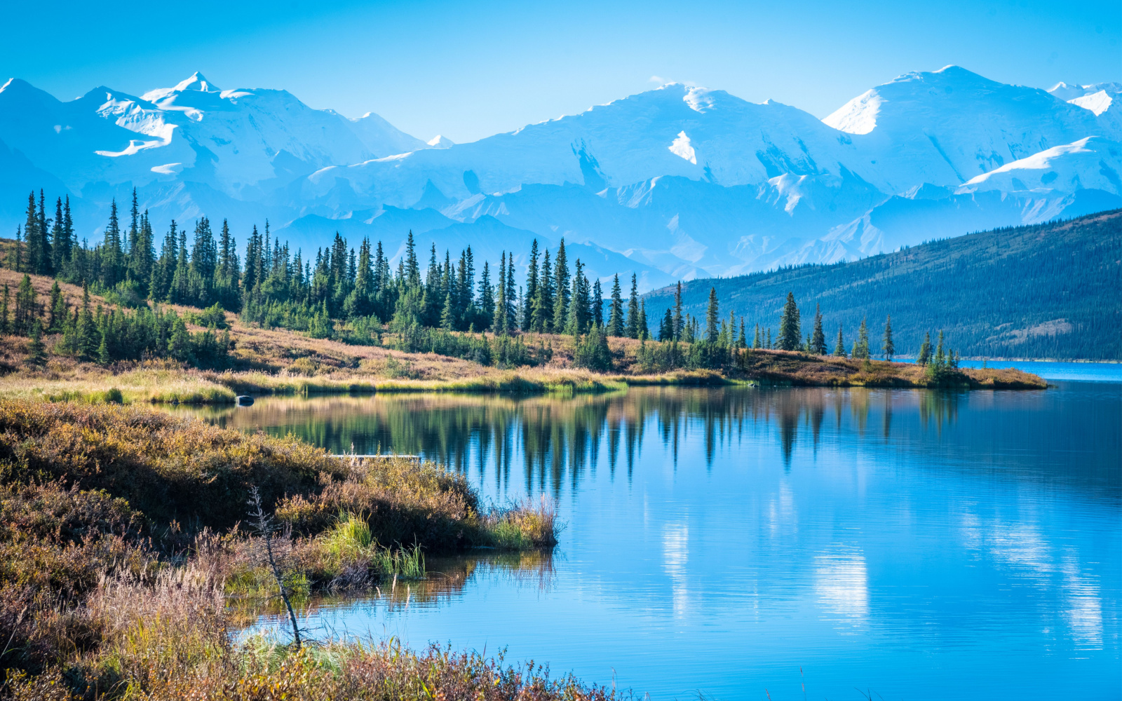 The Best Time to Visit Denali National Park in 2023