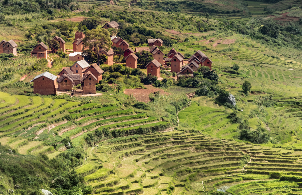 Rice terraces in the Merina village along Route 7 during the best time to visit Madagascar