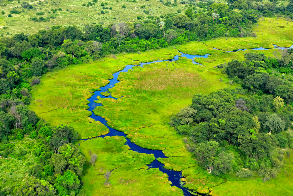 Aerial view of a delta in the river with lots of green vegetation during the cheapest time to visit Botswana