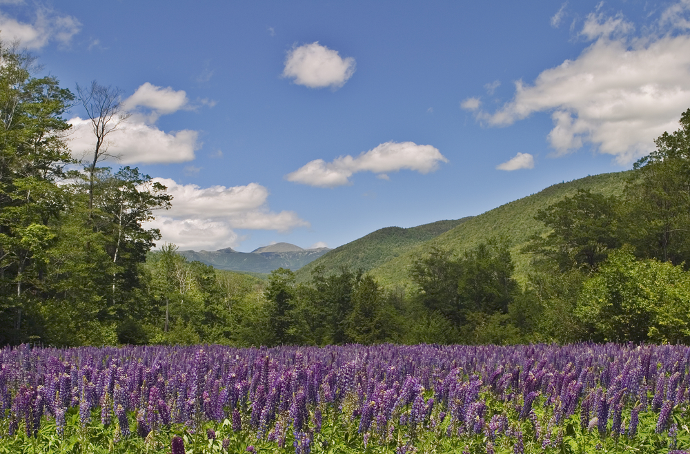 Mountain View during the spring, possibly the best time to visit New Hampshire