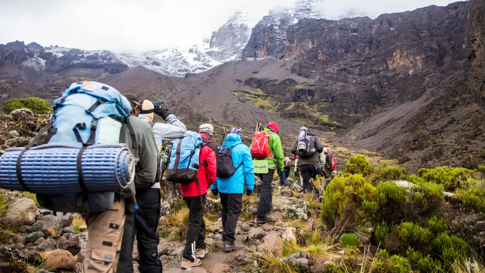 Line of folks walking along a path on Mount Kilimanjaro in Africa