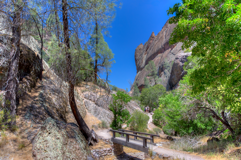 Winding trail and bench for resting show the best time to visit Pinnacles National Park