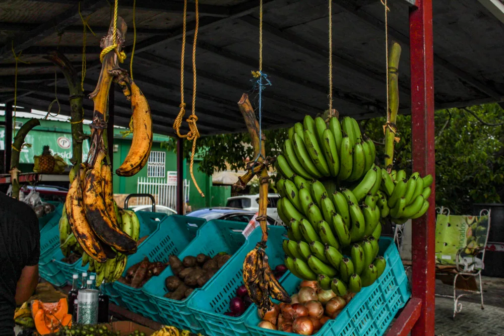 Open air produce market in San Juan during the best time to go there