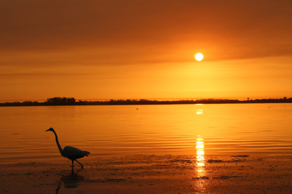 The Best Time To Visit Anna Maria Island In 2024   Shutterstock 1566149542 960x640 