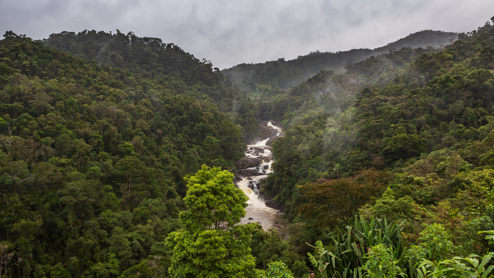 Ranomafana rainforest pictured with gloomy clouds and rain overhead with a river running down the middle for a piece on the worst time to visit Madagascar