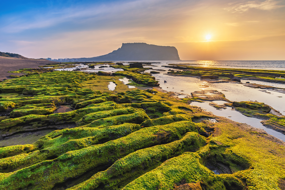 Sunrise over the moss-covered rocks on Jeju Island during the best time to visit South Korea