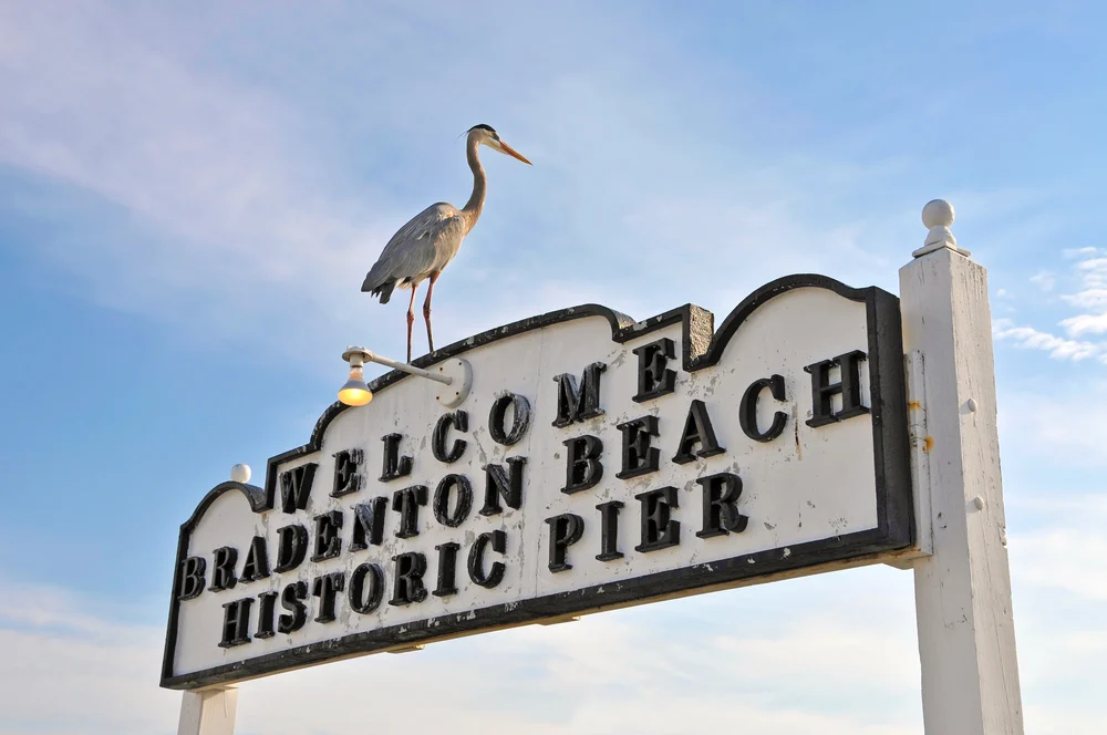 Historic Bradenton Beach Pier sign with heron sitting atop it during the best time to visit Anna Maria Island