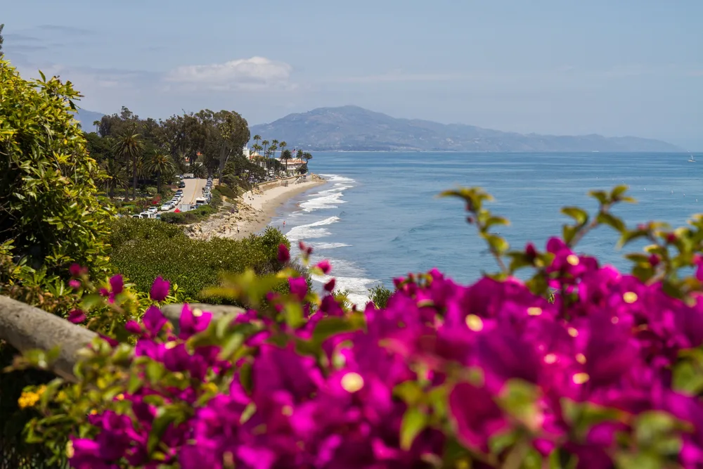 View of butterfly beach with flowers in foreground showing the best time to visit Santa Barbara