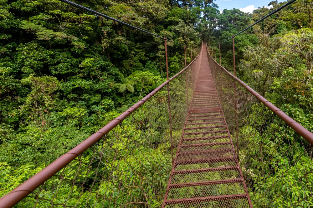 Suspension bridge pictured above the rainforest during the best time to visit Panama