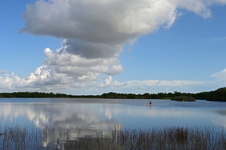 📅 The Best & Worst Times to Visit the Everglades in 2024