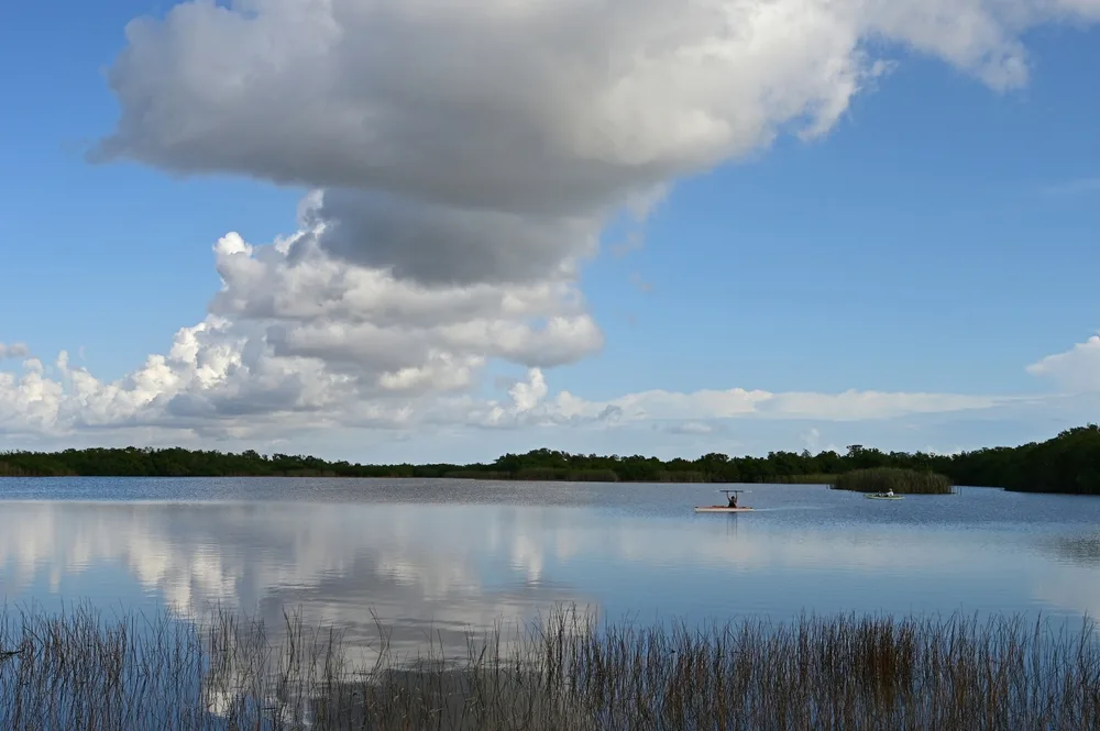 Kayakers in the distance on Nine Mile Pond in the national park showing the cheapest time to visit the Everglades