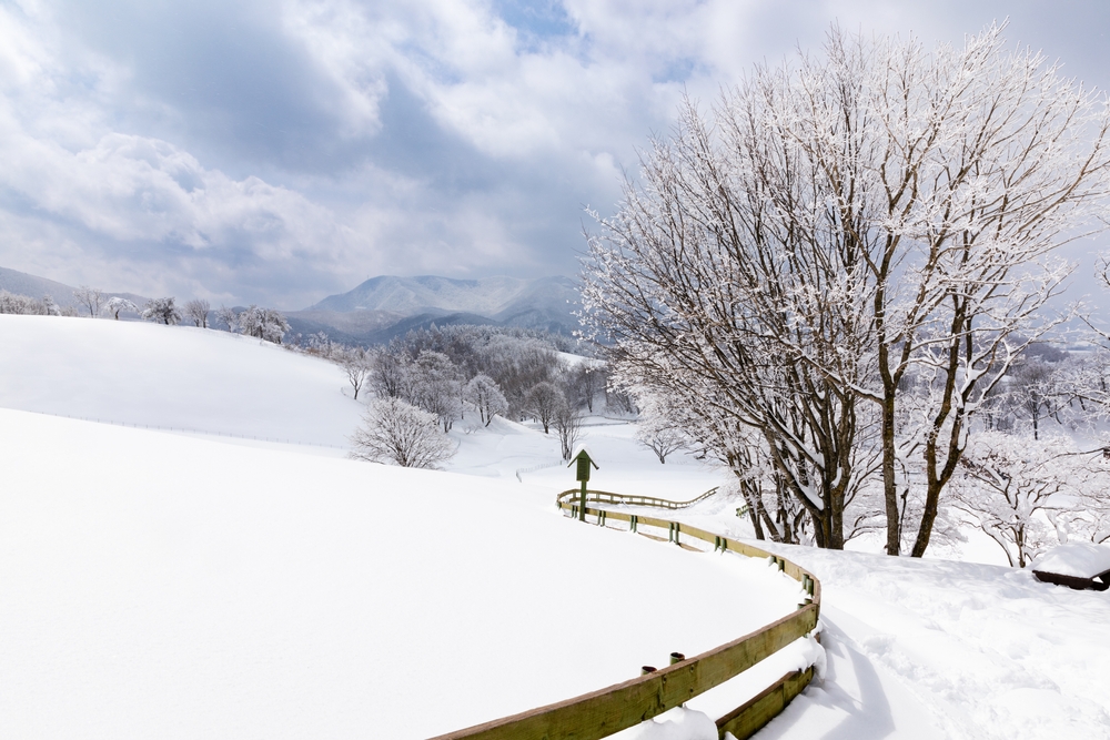Beautiful snow-covered hills pictured during the winter, the overall cheapest time to visit South Korea, as seen from a walking path in the countryside