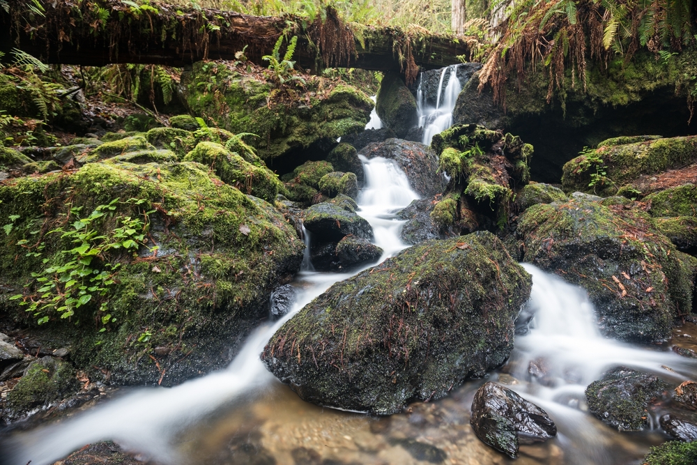 Moss-covered rocks sit atop a waterfall as seen from the hiking path during the best time to visit Redwood National Park